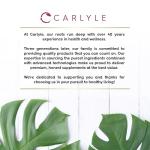 Iron Tablets 18mg | High Strength for Women | with Vitamin B12, Vitamin C and Folic Acid | 100% NRV Iron Complex | 90 Vegan Tablets | by Carlyle