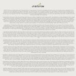 28 Day Time Detox Wellness Cleanse Herbal Green Tea Blend – 28 Teabags