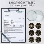 Immune System Booster - Immune Support & Recovery Complex - Vitamin C, Zinc, Selenium, Elderberry, Probiotics - Immune System Vitamins for Adults - 120 Capsules - Vegan Immunity Booster Supplement