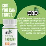 CBDfx 1500mg CBD High Strength Broad Spectrum Soft Gel CBD Capsules, 25mg CBD per Capsule, Organic, Gluten-Free, 60 Capsules in Total (30-60 Days)