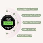 Natural CBD Balm 30g 1000mg with Organic Hemp Oil, Beeswax & Vitamin E – High Strength CBD Muscle Balm for Muscles & Skin