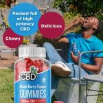CBDfx 1500mg High Strength Mixed Berry CBD Gummies, 25mg per Gummy, Natural Sleep and Anxiety Support, Vegan Gummies No THC (60x Bottle)