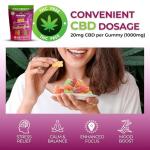 Hempthy High Strength CBD Gummies 1000mg, 20mg x 50 Gummies, HIGH Strength CBD Gummy Bears, 1000mg Total CBD, THC Free, Best UK CBD Gummy Bears, for Pain Relief, Stress Relief & Better Sleep