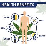 High Strength 100000mg Premium Oil - Supports Joint, Sleep and Stress Relief, Rich in Omega 3-6-9, Vitamin C & E, 100% Vegan (60ml 100000mg)