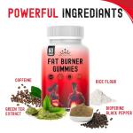 Fat Burner Weight Loss Gummies – Metabolism Booster, Appetite Suppressants Gummy - Green Tea Extract Lean Slimming Diet Supplement for Men & Women - Premium Manufacture - 60 Gummies