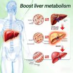 Healrize Moringa 10-in-1 Advanced Nano Microneedle Patch, Healrize Weight Loss Patches, Metabalance Patch, Gentle Soothing for All Body Types (4 Packs)