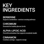 ARTAH Metabolic Fix: Metabolic Supplement – Natural Metabolism & Energy Support with Berberine, L‑Carnitine & Chromium – Stimulant-Free Craving Control – 30 Day Supply