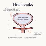 Jude Bladder Health Tablets As Seen On Dragons' Den, Science-Backed Supplement, Nourish Your Pelvic Floor, Made in The UK, Vegan & Gluten Free, Pumpkin Seed Extract & Soy Germ Extract, 60 Capsules