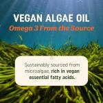 Vegan Omega 3 Algae Oil | Plant Based DHA EPA | Sustainably Sourced, No Carrageenan, Non GMO | Heart, Brain & Eye Health Support | Fish Oil Alternative | Algae Omega 3 Supplement | 120 Softgels