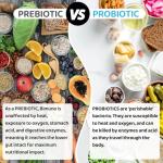 BIMUNO (Rebranding to GutSupp) Prebiotic Fibre Supplement for Gut Health | High-Fibre Tasteless Soluble Powder | Supports Digestive Function | Suitable for Women & Men | 30-Day Supply