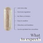 INNOPURE Perimenopause & Menopause Complex Supplements (2 Month Supply) Red Clover, Wild Yam, Maca, Sage and Vitamins Including B6 for Hormone Regulation, Pure-Fill, 60 Capsules, UK Made