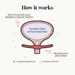 Jude Bladder Health Supplement for Women | Pumpkin Seed Extract & Soy Germ | Science-Backed Urinary Wellness | As Seen on Dragons’ Den | Vegan & Gluten Free | 120 Capsule