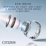 Citizen Eco-Drive Men's Perpetual Chrono A.TCB5899-05X