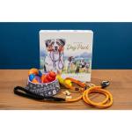 Dog Park: Fun Strategy Game for Dog Lovers