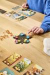 Libellud | Harmonies | Family Board Game | Ages 10+ | 1-4 Players | 30 Minutes Playing Time
