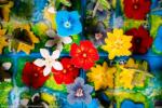USAopoly | Hutan | Board Game | Ages 8+ | 1-4 Players | 30-45 Minutes Playing Time