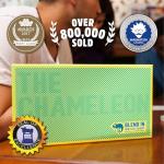 Chameleon: Find the Traitor - Fun Family Game