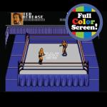 Basic Fun Arcade Classics Mini WWE – Retro Handheld Game with Joystick, Full-Colour Screen & Authentic Sound Effects – Batteries Included, Black