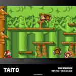 Blaze Evercade Taito Arcade 1