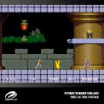 Evercade Windjammers, Karnov & Friends