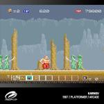 Evercade Windjammers, Karnov & Friends