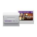Blaze Evercade NEOGEO Arcade 1 Cartridge