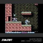 Evercade Sunsoft Collection 2