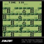 Evercade Sunsoft Collection 2