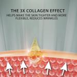 Dead Sea Moisturizing Face Cream with Collagen