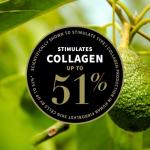 Rosehip & Avocado Anti-Aging Face Oil - 30ml