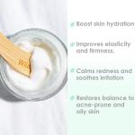 WildMint Glow to Bed Night Cream for Mature Skin