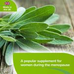 Lindens Sage Leaf Extract 500mg Tablets - 100 Count