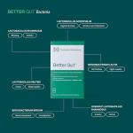 Better Menopause Gut Health Probiotic Supplement