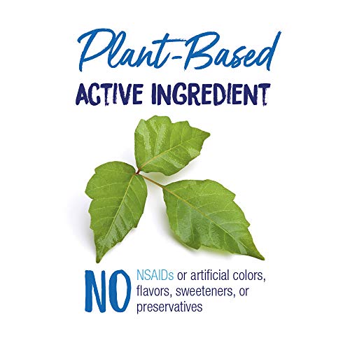 Boiron Rhus Tox 30C for Joint and Muscle Pain