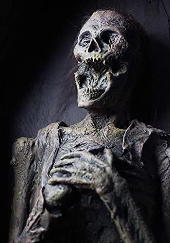 Skeleton in Coffin Halloween Prop