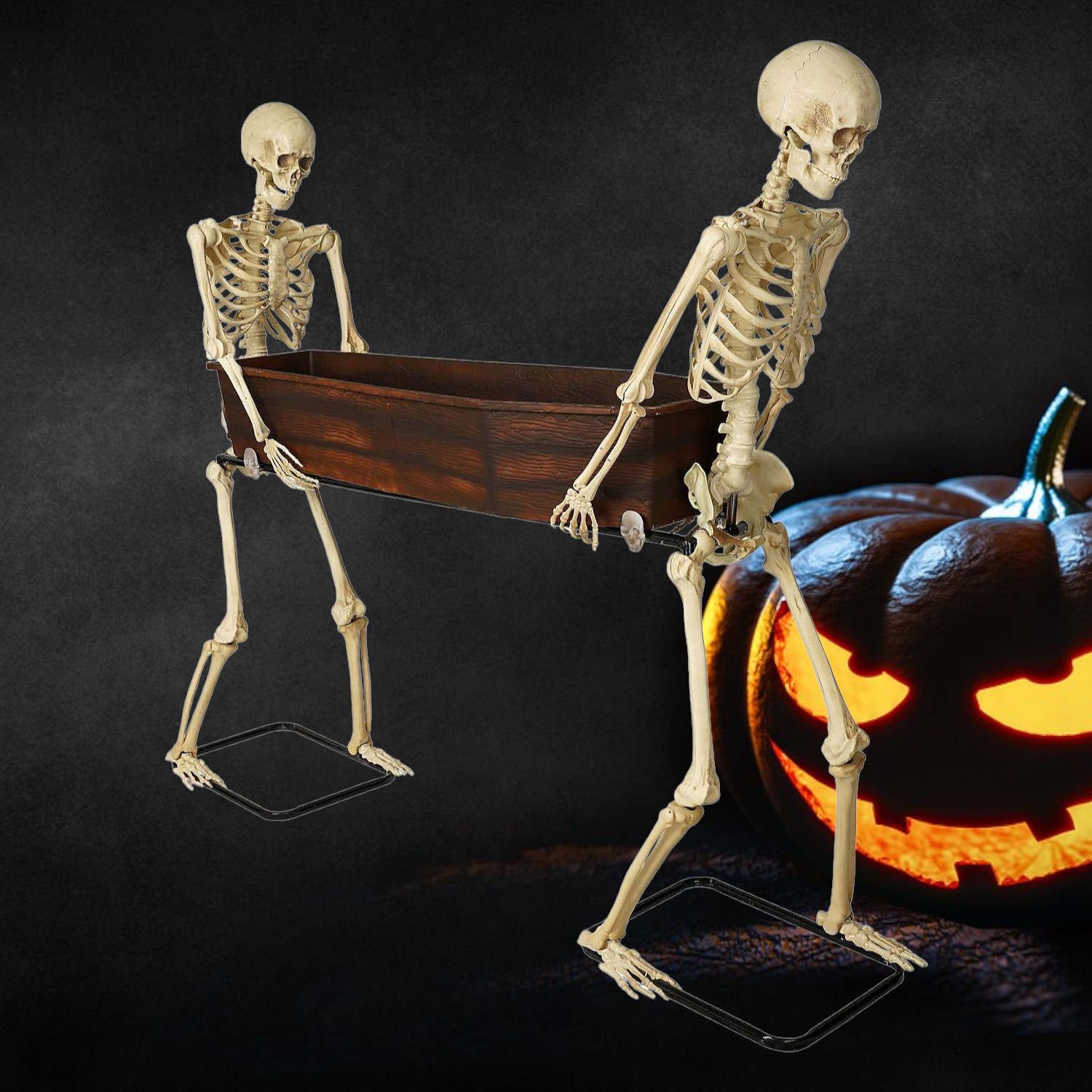 Life Size Skeleton Duo with Coffin Halloween Prop