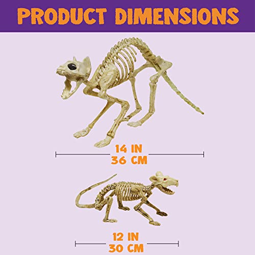 Skeleton Cat and Rat Yard Decorations for Halloween