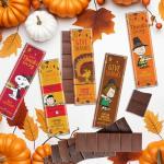 Thanksgiving Chocolate Peanuts Gift Basket for Kids