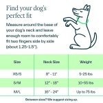 Whistle Switch GPS Dog Health and Fitness Tracker