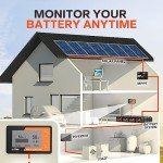Litime Battery Monitor 500A for Solar and RV