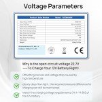 ECO-WORTHY 2-Pack 100W Monocrystalline Solar Panels