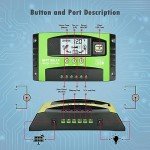 60A MPPT Solar Charge Controller with Dual USB Ports