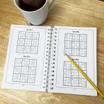 Big Sudoku Book: 500+ Puzzles for Adults