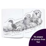 Nature's Hidden Treasures: Relaxing Coloring Puzzles