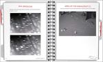 Cold Case Puzzle Book for Brain Games