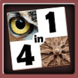 Word Scramble Challenge: Fun Letter Quiz