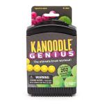 Kanoodle Genius 3-D Puzzle Brain Teaser Game