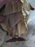 Vintage 7" Greek Cloth Doll on Stand