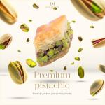 Pistachio Baklava Gift Box - 15 Sweet Pieces