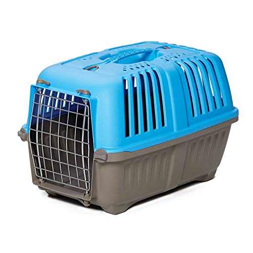 Blue Hard-Sided Pet Carrier for Tiny Breeds